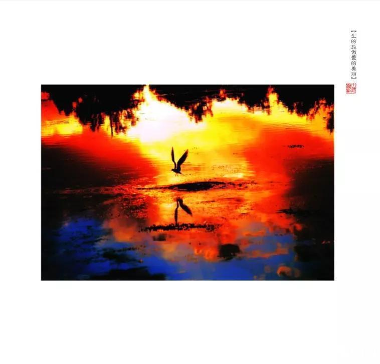 秋冬笔墨:作家丁捷的沧桑稀奇