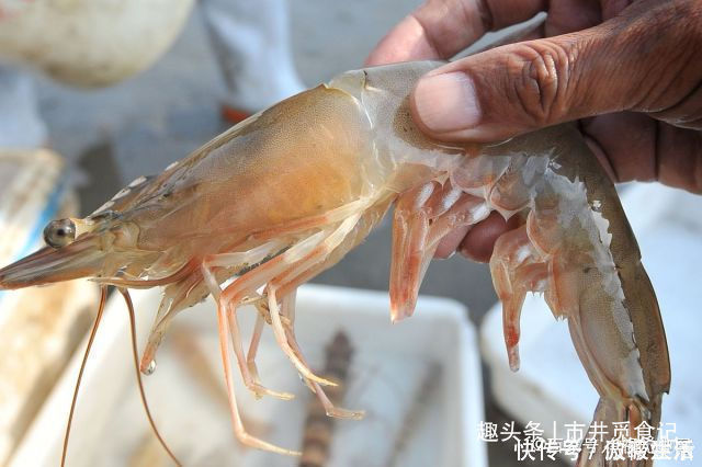 冰鲜虾|买大虾时,碰上这3种虾,打折也不要买,别贪小便宜吃大亏