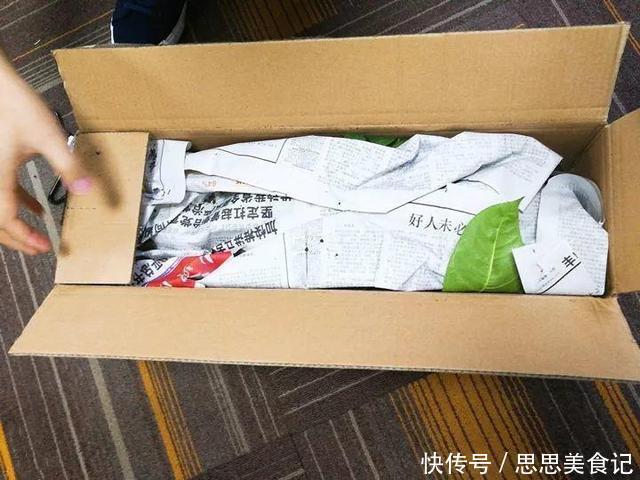 这花一开就是大半年,枝条沾水就活,根比萝卜还粗