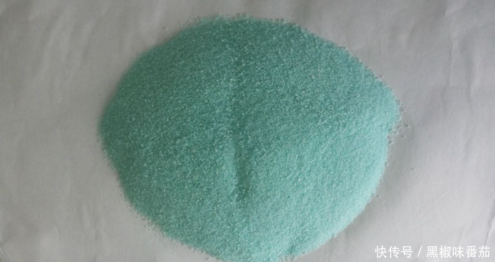 枝干|铁、氮、磷、钾元素,植物缺少哪一种都会预警,你对照下吧