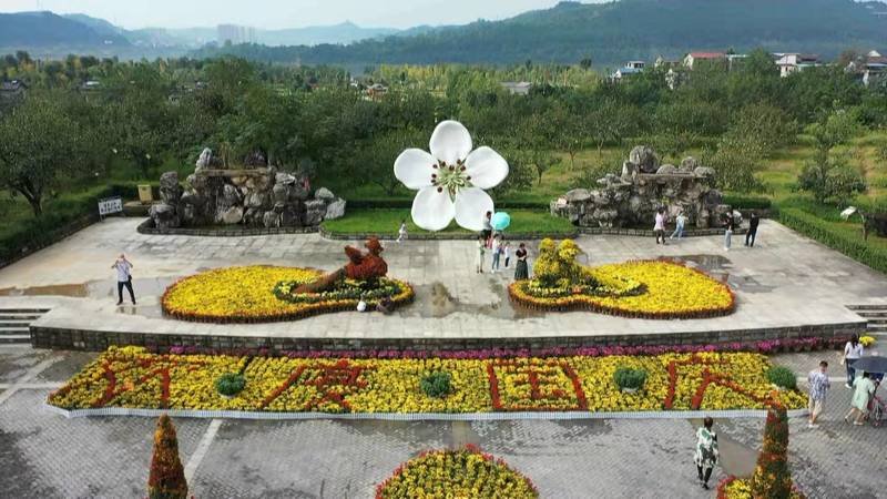 湿地|四川苍溪：“赏花经济”赋能乡村振兴 带热乡村旅游