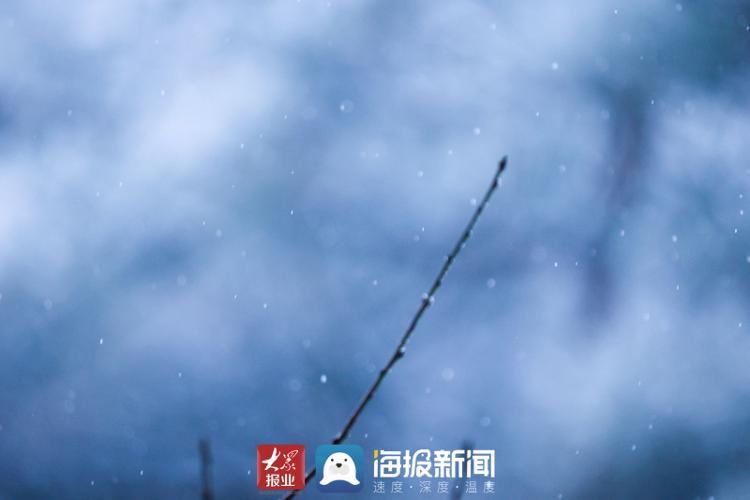 仙境|山东日照：玉树琼枝，银装素裹 雪中大青山开启仙境模式