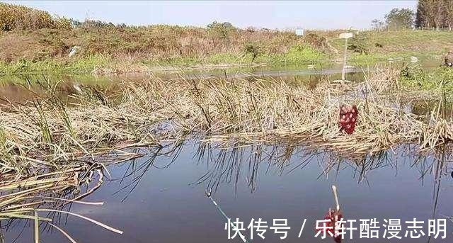 冬天钓大鲫鱼的六个诀窍