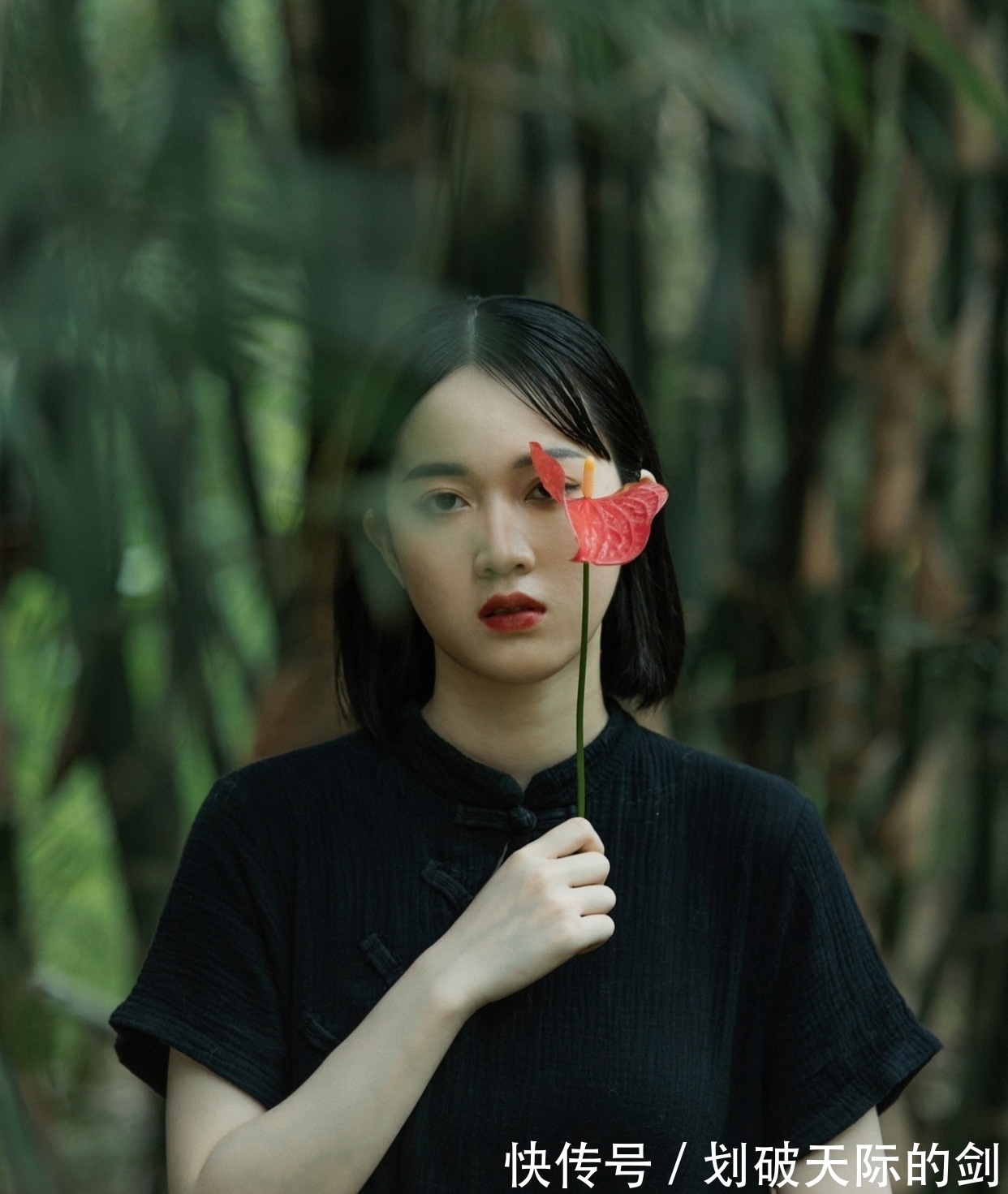 伤痛处@七言绝句与格律:风雨年华多梦幻,柴门无处不蓬蒿