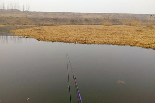 数九寒冬钓鲫鱼，鱼都藏在这些地方，在这里下竿，大鲫鱼连竿上！