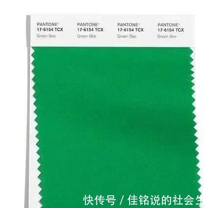 酒庄红 202122秋冬女装流行色趋势!