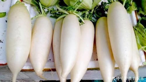 家人|才知道，这3种白萝卜别买了，菜贩子从不给家人吃，看完提醒家人