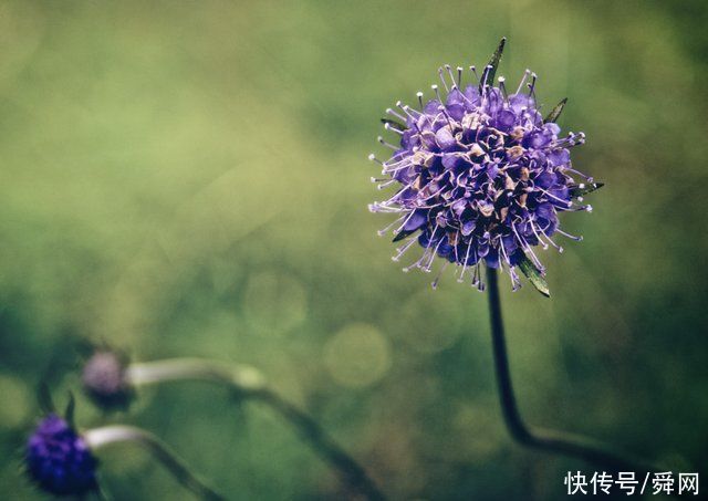 7月，邂逅旧情，前世回眸，痴心决定，相爱到底的生肖