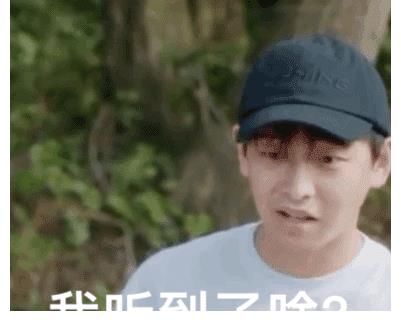 八卦|本期《向往5》超出綜藝范疇，張藝興意外遇見吳亦凡？彭昱暢秒變八卦臉！