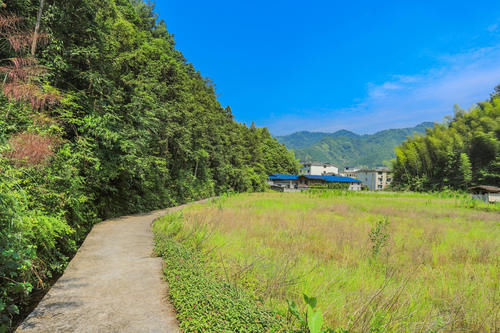 江西幽静古朴的冷门大山，风景绮丽不收门票，但游客很少