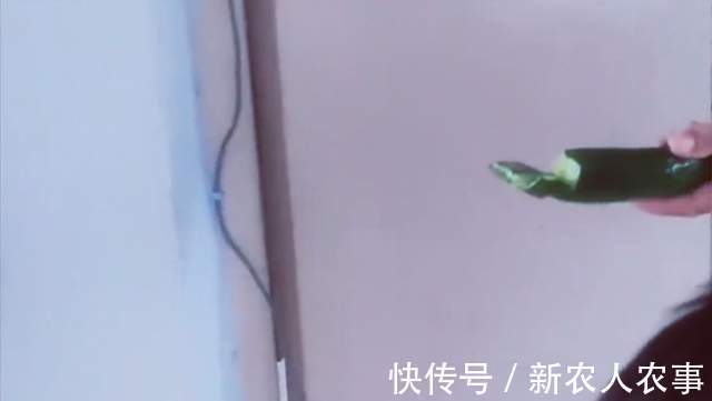 小女孩|山东一奶奶火了,小孙女贪玩屡教不改,一个神操作立刻解决