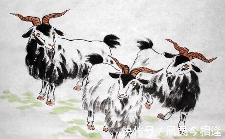 事业|熬到年前,财运高升,3大生肖苦尽甘来,事业发达,有钱又有权