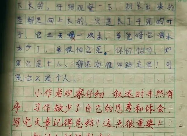 字迹&老师的作文评语个性鲜明,字迹中规中矩,严谨规范,网友盛赞