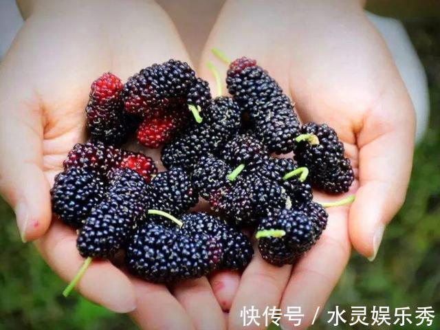 老人|老人和小孩，不缺钱应该多吃这3种“美食”，营养不输牛奶还便宜