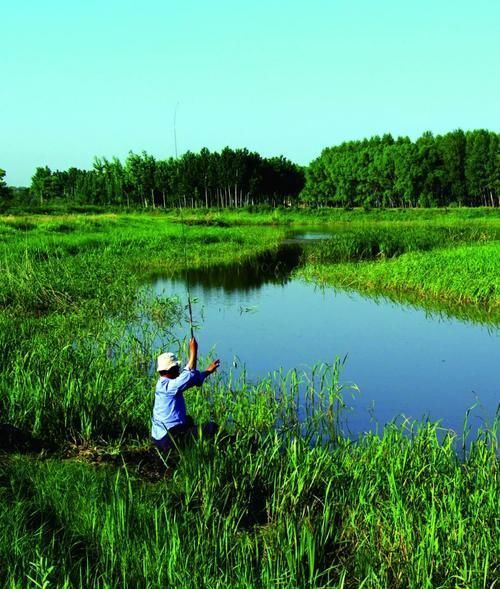 水草|“炎夏钓鱼费心思”第四篇经验之谈,夏季钓鱼如何选择钓点钓位