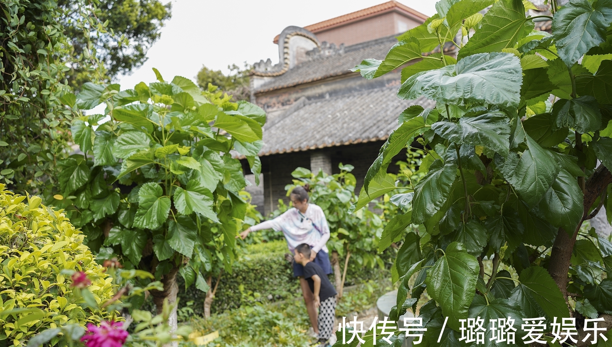 佛山|广东佛山一座古村，村里有座高脚石屋，有墙无顶，却大有来头