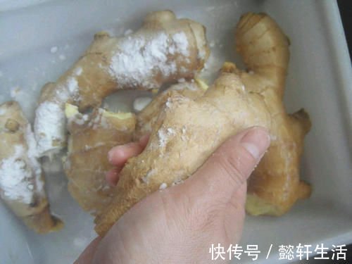 白酒|生姜能放冰箱保存吗？教你正确方法，不干瘪不生芽，真实用