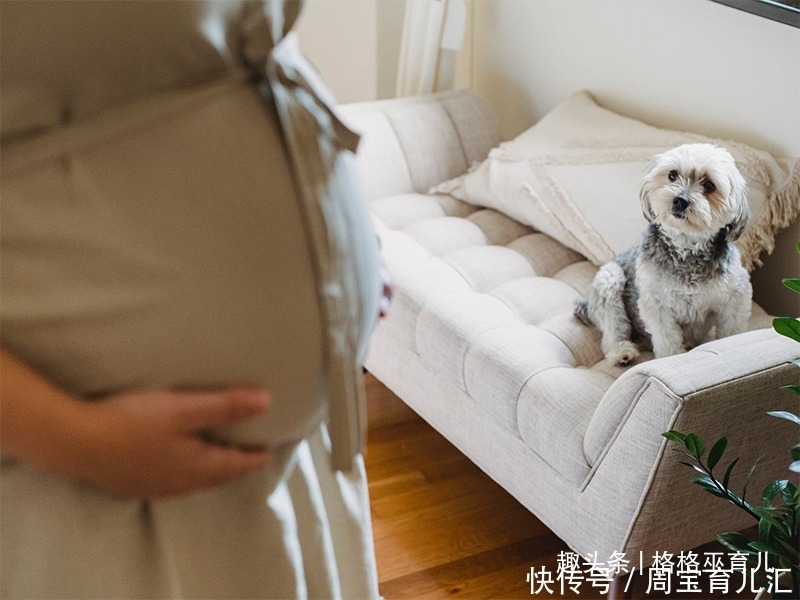 临近预产期，除了爬楼，还有哪些方便帮助快速生产的方法呢？