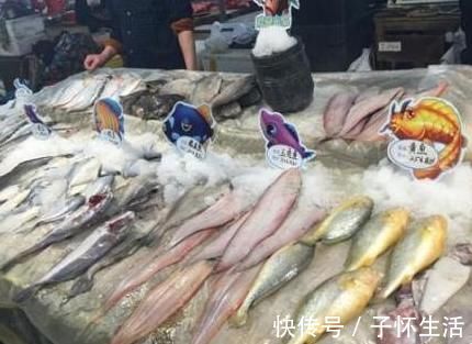 营养|内行人买鱼专挑这4种鱼,肉嫩刺少营养好,目前还不能人工养殖!