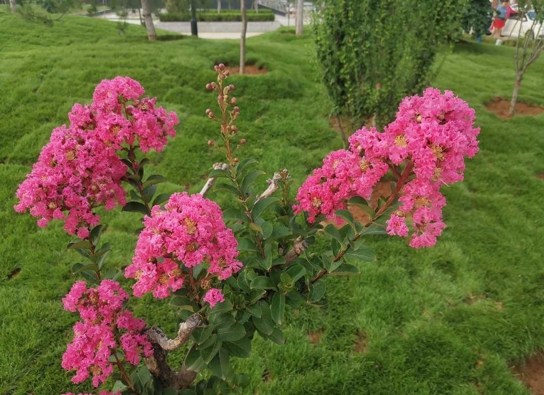 曾国藩:大多数学问来自于生活,应在孝悌上用些功夫
