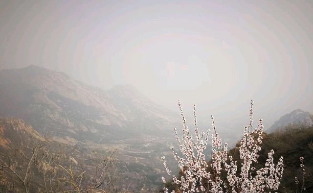 燕平八景白虎涧桃花杏花遍山野（新华社杨兆波报道）