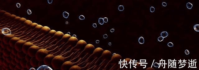 咖啡|血脂高是省出来的！专家提醒这3类食物，无论多不舍得都要扔掉！