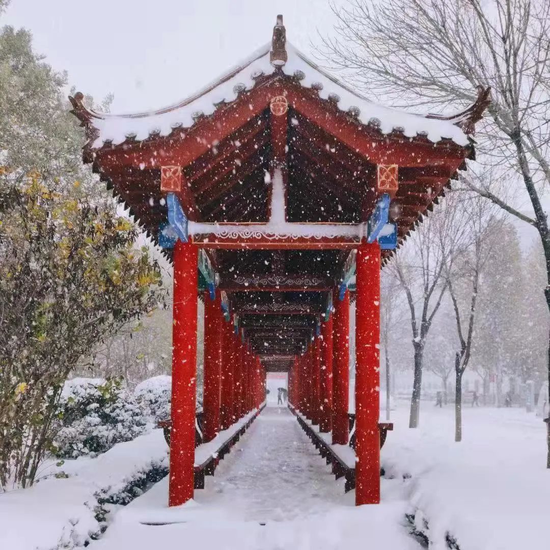 山东交通学院|千里一色！山东高校的“初雪”遇上“立冬”，浪漫绝绝子！