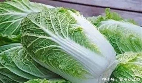 买白菜时，选白色的还是绿色的大厨教你这3点，就不会买错了