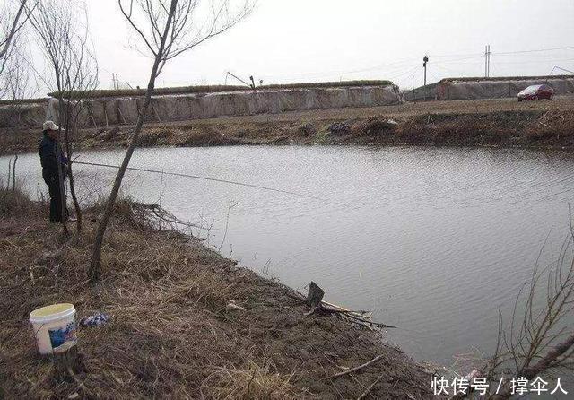 技巧|冬季传统钓更有优势?三个技巧用上真的比台钓渔获更多--皇禾钓具