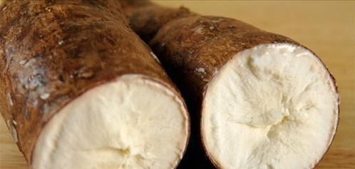 误食|一家四口食物中毒,只因误食了这种“营养食物”,很多人家里都有