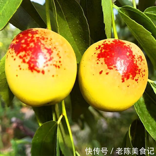 手把手|吃不完的水果怎么保鲜,能保鲜多长时间,手把手教你水果保存方法