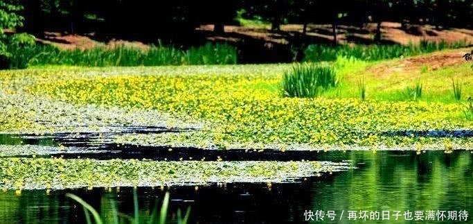 满秋窗|江城子·碎影满秋窗