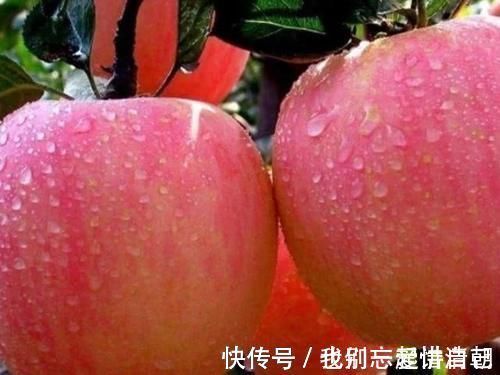 洋娃娃|女性怀孕后,4种零嘴得经常吃,生出来的宝宝像洋娃娃一样好看