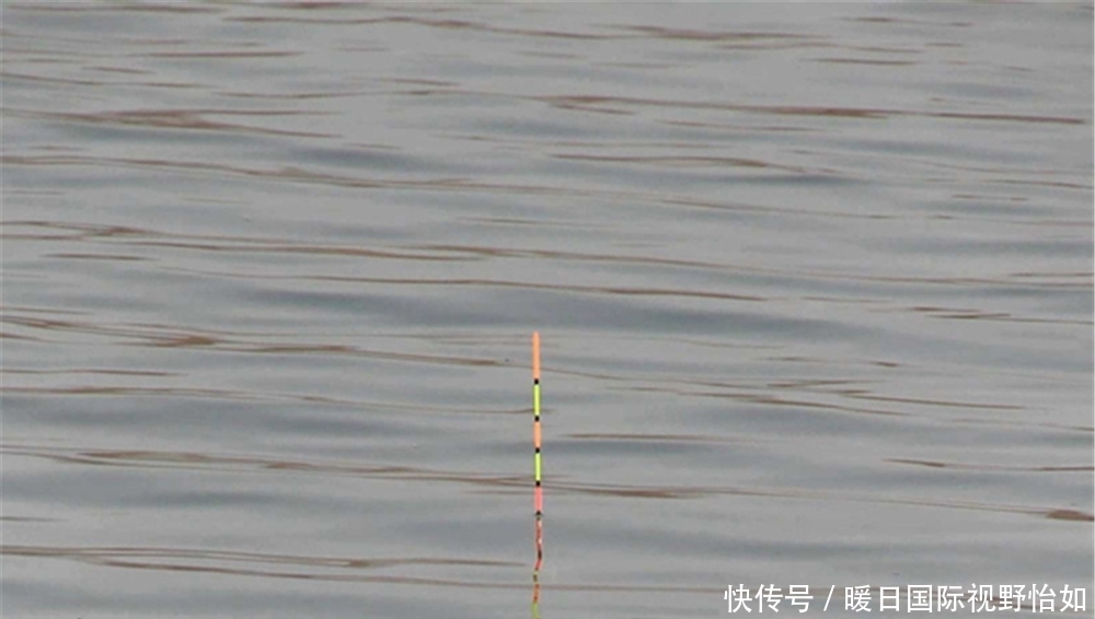 调漂|野钓选漂和调漂经验,选漂注意吃铅大小,调漂注意钓钝才“万能”