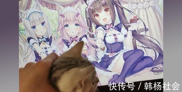 半兽人|想让猫咪变成人变是不可能的,但画师可以将其画出来!