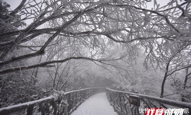 天门山|气温降“裹银装”张家界天门山景区迎来入冬首场降雪