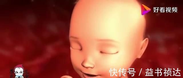 发育|孕4月到孕6月，胎宝宝每个月都发育了什么，有点奇妙