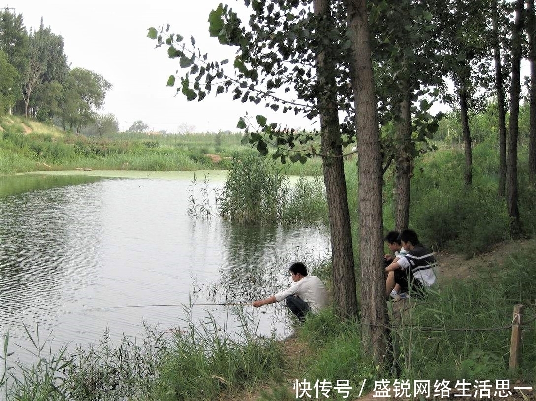 夏季|夏季野钓,突然无鱼口,不是钓技不好,原来是这几种因素