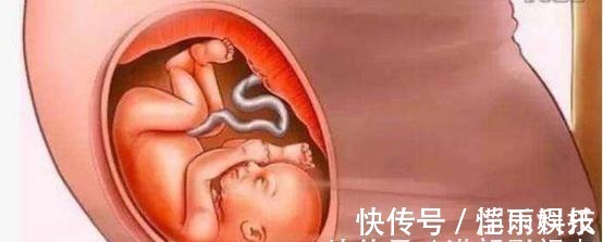 怀胎|宝宝是怎么被慢慢孕育出来的,十张过程图,一切来之不易