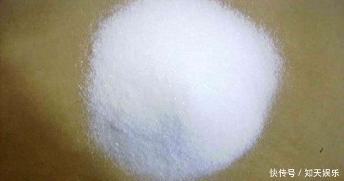 文竹有黄叶别担心，“1种”粉末兑水浇，叶子2天变油绿