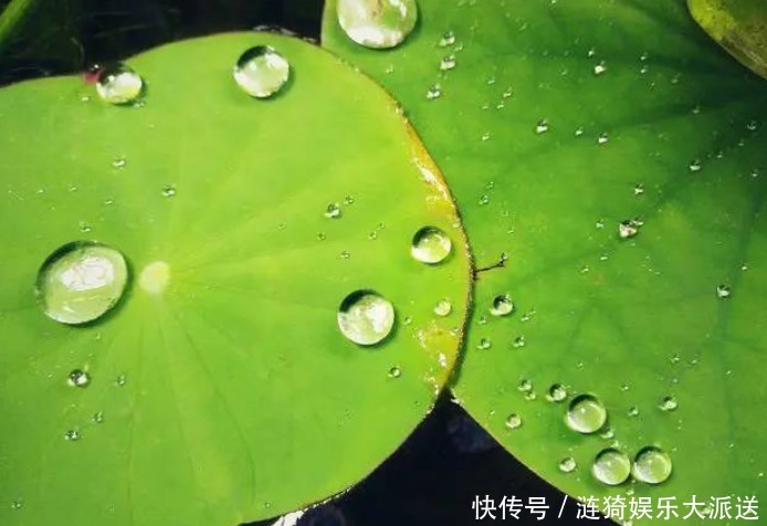 血压高的人,不想脑溢血,少碰4种食物,谨记补三物,做三控