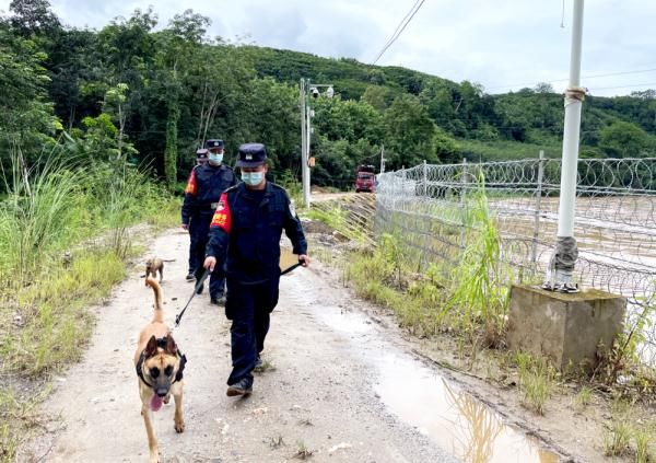 祖国|云南临沧：一条犬、一队人，守护着一段祖国边境