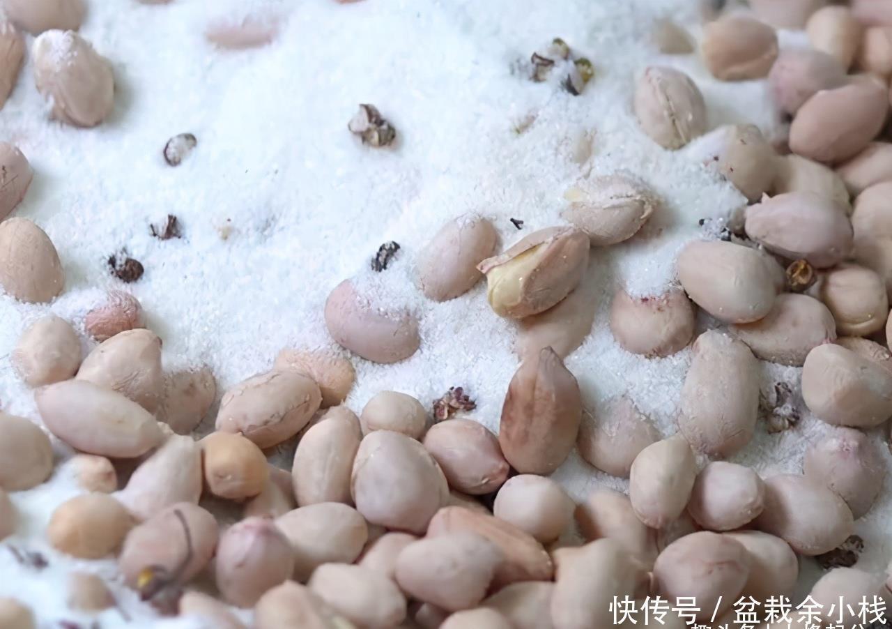 生米表面|在家自制盐焗花生米,外皮一搓就掉,干香酥脆,比油炸花生米好吃