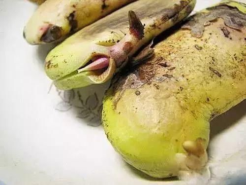 在垃圾桶里装满泥土,摆在阳台上有妙用,一年能帮你省下不少钱