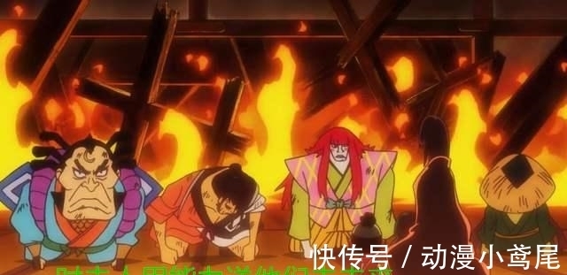 大蛇|海贼王973话：好起来了，狂死郎承认真正身份，一直在保护日和