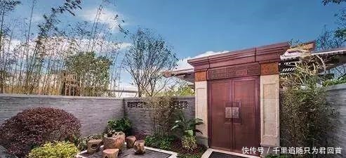 自在|院子里喝茶图个自在