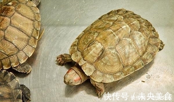 寿命|是运动养生,还是静止长寿?世卫组织终于给出明确答案