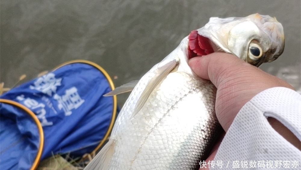 钓底|盛夏高温,钓鱼要钓深和钓远,用这种钓组远投,专钓远处的大鱼!