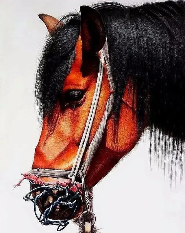 让大家感|叛逆少年欧阳鹏杰,凭借绘画创作持续走红,今成钢笔画领军人物