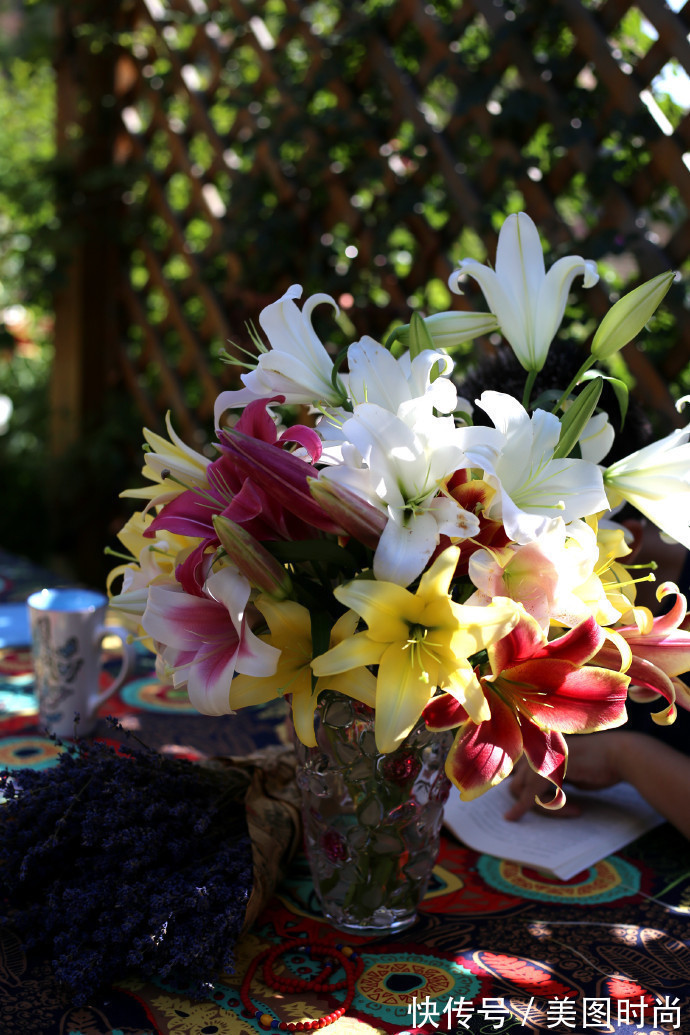 阳台上|为建花园,不顾反对买了一楼带院子,3年的亲手布置朋友都羡慕了